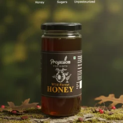 Wildforest Honey Benefits | Raw, Natural, No Sugar Added, Healthy
